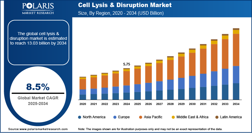 Cell Lysis & Disruption Market Size